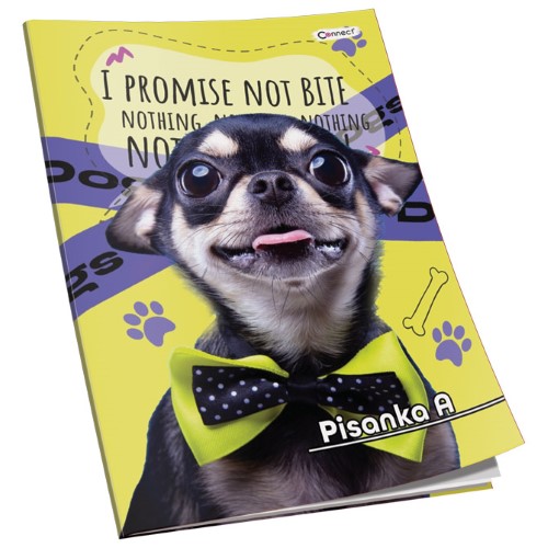 Obrazac školski pisanka "a" za 1razred premium connect girl (3879)