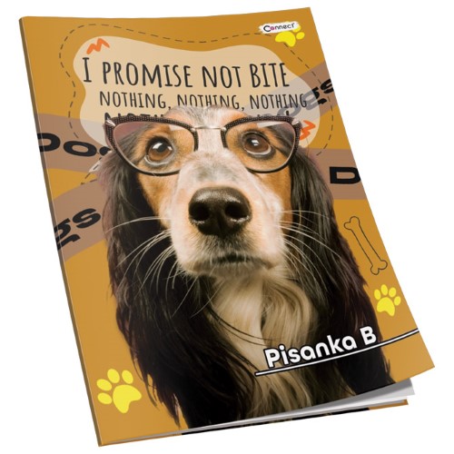 Obrazac školski pisanka "B" za 1razred premium connect girl (3881)