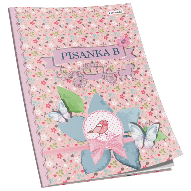 Obrazac školski pisanka "B" za 1razred premium connect girl (3881)