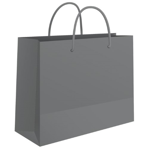 Vrećice ukrasne 24x16x7 cm sjajna plastifikacija fornax srebrne (5758)