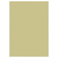 Papir u boji A4 130g pk100 heyda 20-47116 94 zlatni (6887)