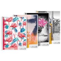 Blok kolegij A4 karo 80l perforacija plus 4rupe trend brunnen 10-67928 19 sortirano (8920)