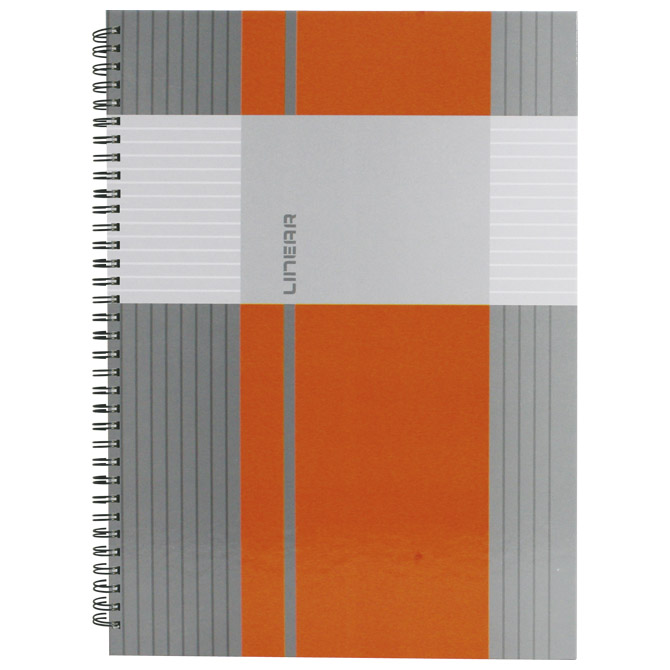 Blok kolegij A6 crte 80l mat plus lak linear marker 2-66 (10667)