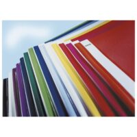 Fascikl mehanika euro pvc A4 leitz 41910001 bijeli (13431)