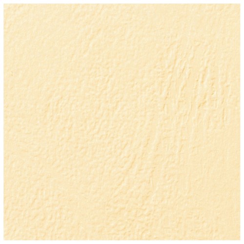 Korice za spiralni uvez 250g karton reljefne A4 pk100 gbc ce040065 bež (13470)
