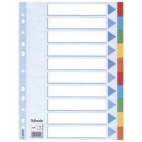 Pregrada kartonska A4 kolor 10listova esselte 100193 (13497)