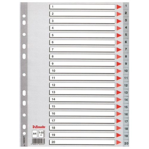 Pregrada plastična A4 brojevi 1-20 esselte 100107 siva (23460)