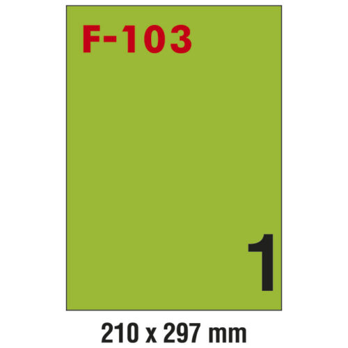 Etikete ILK 210x297 mm pk100L Fornax F-103 zelene (24773)