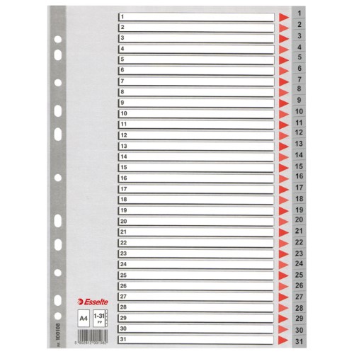 Pregrada plastična A4 brojevi 1-31 esselte 100108 siva (37940)