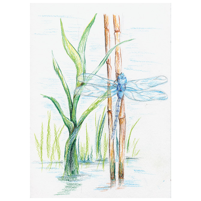 Boje drvene-vodene 12boja metalna kutija aquarell design journey staedtler 14610c m12 (43128)