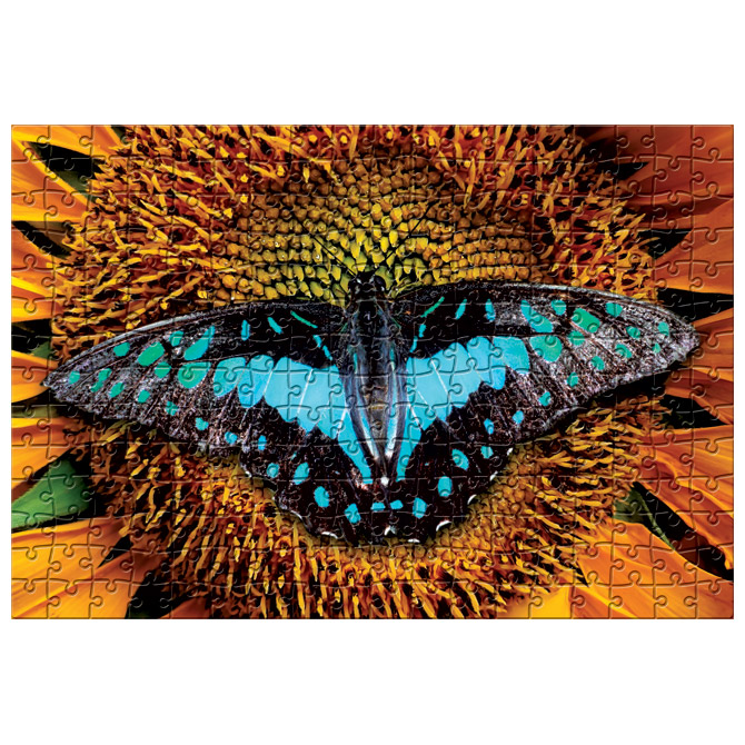 Puzzle 250 kom colorful nature 2 butterfly interdruk (54112)