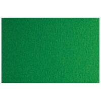 Papir u boji B1 200g bristol colore pk10 fabriano zeleni (55930)