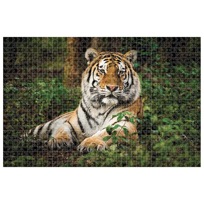 Puzzle 1000 kom animal planet tigar diakakis 000570698 (57114)