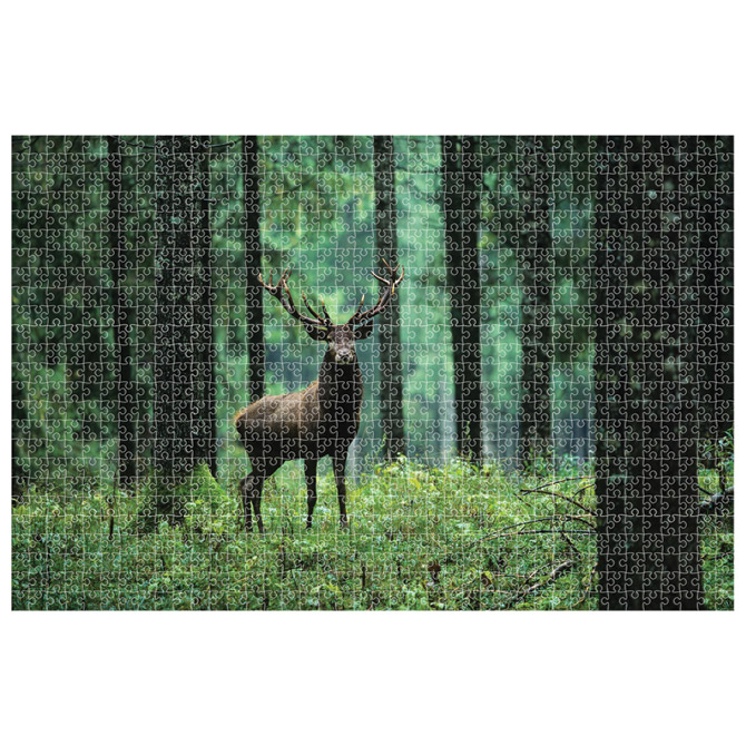 Puzzle 1000 kom animal planet deer diakakis 000570696 (57115)