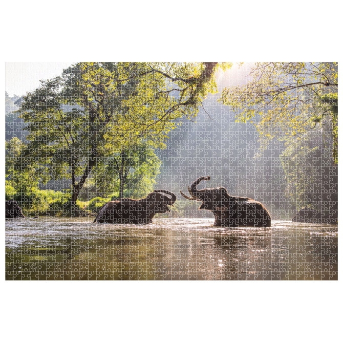 Puzzle 1000 kom animal planet elephant diakakis 000570695 (57116)