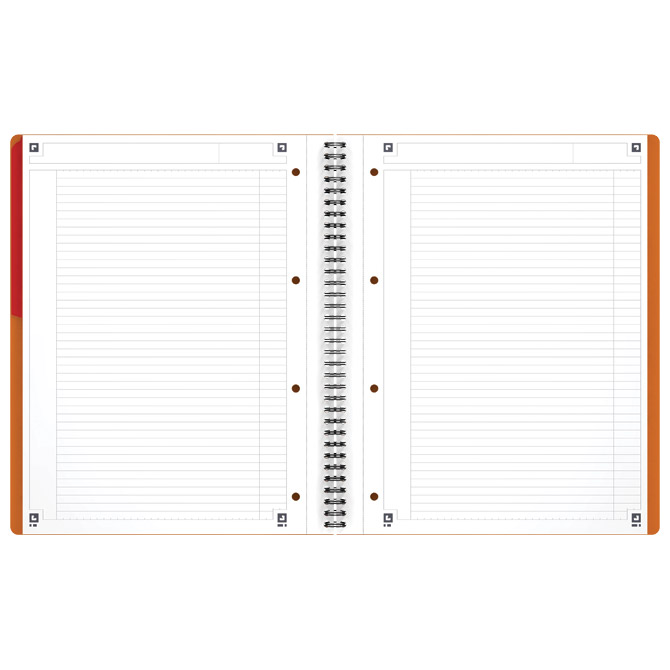 Blok kolegij A4 crte 80l perforacija plus 4rupe activebook oxford 100102994 (58893)