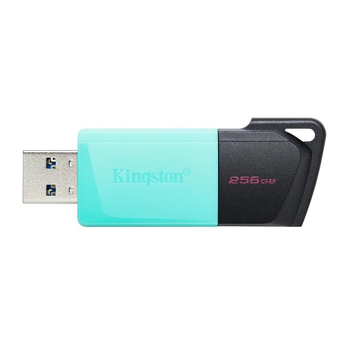 Memorija USB 3.2 flash drive 256GB dtxm exodia m kingston